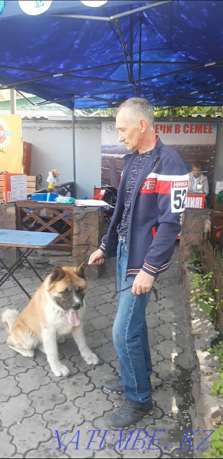 Knitted handsome cable Semey - photo 6