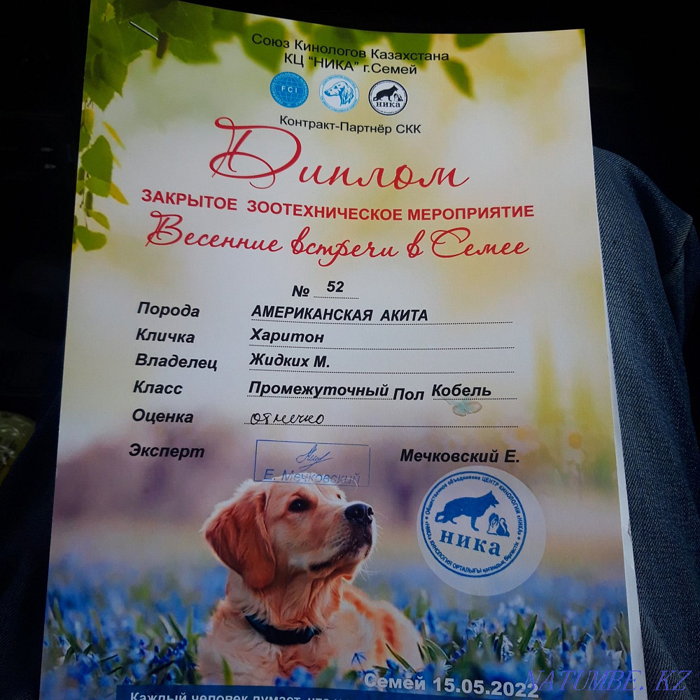 Knitted handsome cable Semey - photo 5