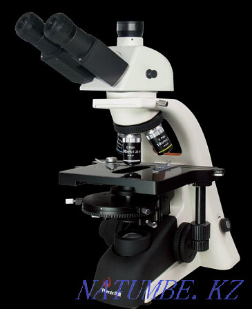 Microscope phenix ph-100 Муткенова - photo 2