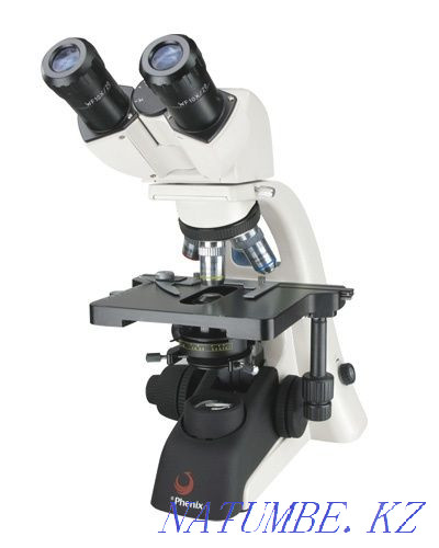 Микроскоп phenix ph-100 Муткенова - изображение 1