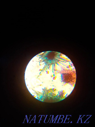 Micromed микроскопы Нуркен - изображение 7