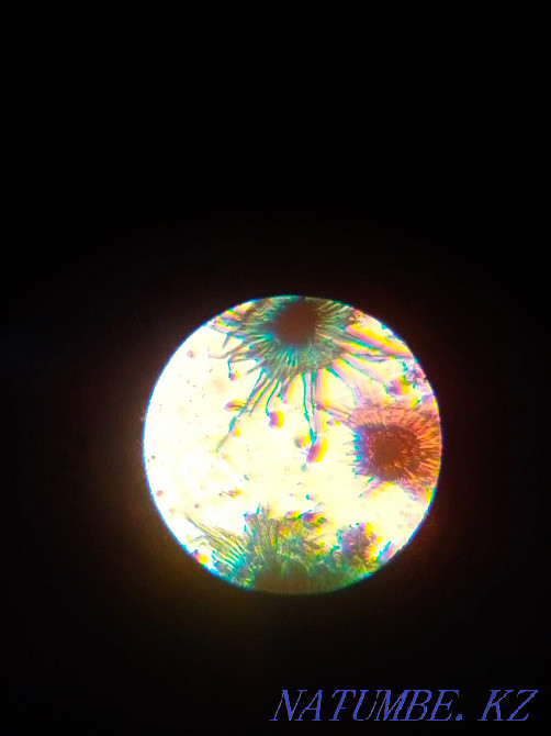 Microscope Micromed Нуркен - photo 7