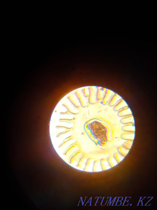 Microscope Micromed Нуркен - photo 5