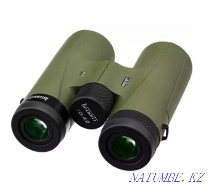 Binoculars Cabela's Intensity 10*42 HD Gen 2 Astana - photo 1