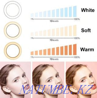 Сақина шамы бар селфи таяқшасы + BY6 Perfe телефонына арналған штатив  Алматы - изображение 5