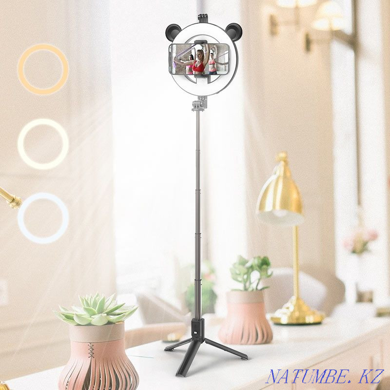 Сақина шамы бар селфи таяқшасы + BY6 Perfe телефонына арналған штатив  Алматы - изображение 7