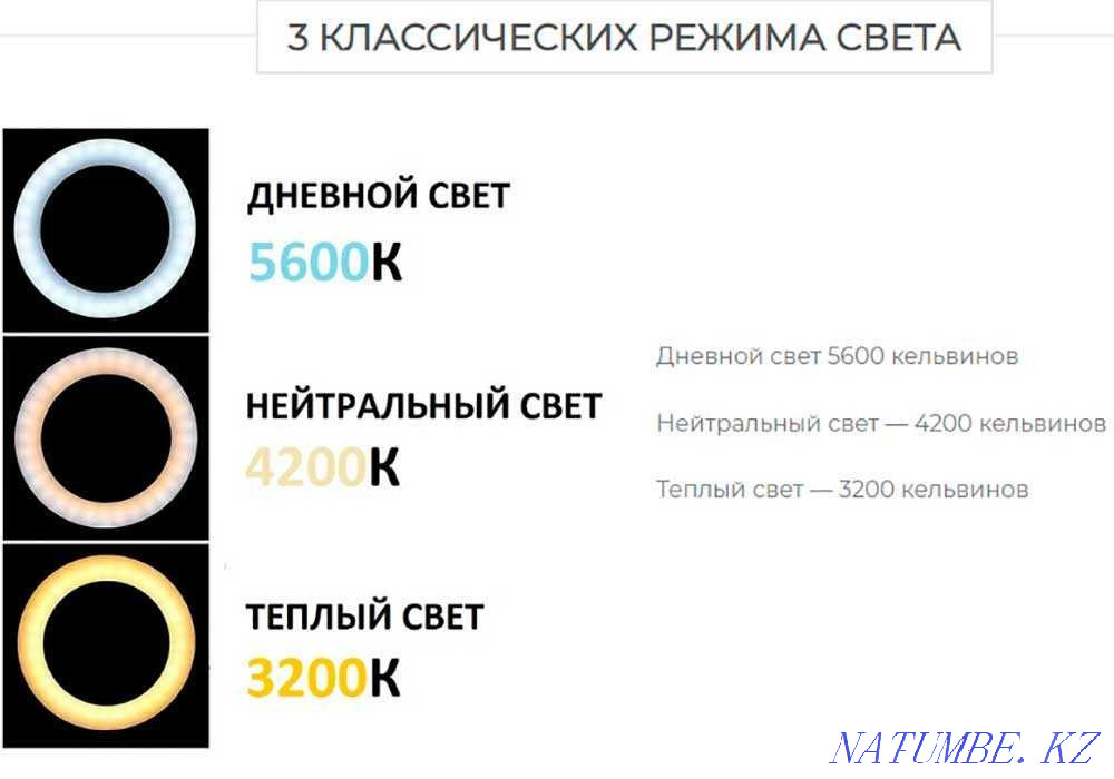 Ring lamp LC-16 II of the second generation with a mirror and a holder Astana - photo 3