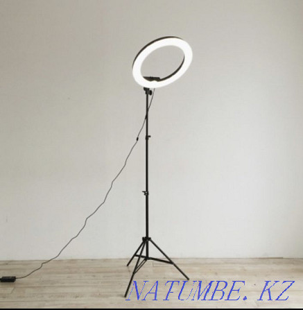 Кольцевая Лампа Риддер - изображение 1