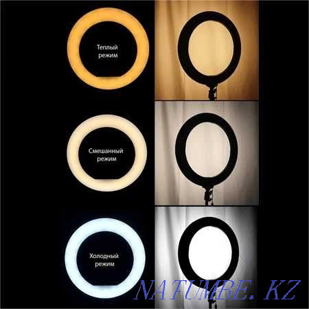 Ring lamp 26 cm Semey - photo 4