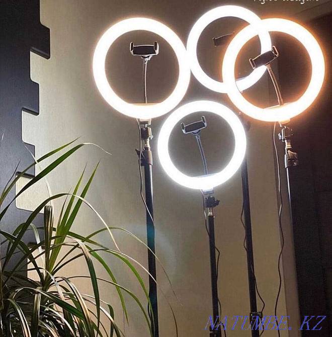 + ШТАТИВ! Новая Разноцветная RGB Кольцевая Лампа 33 см RGB LED Астана - изображение 7