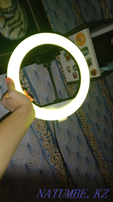 Продам кольцевую лампу Актобе - изображение 4