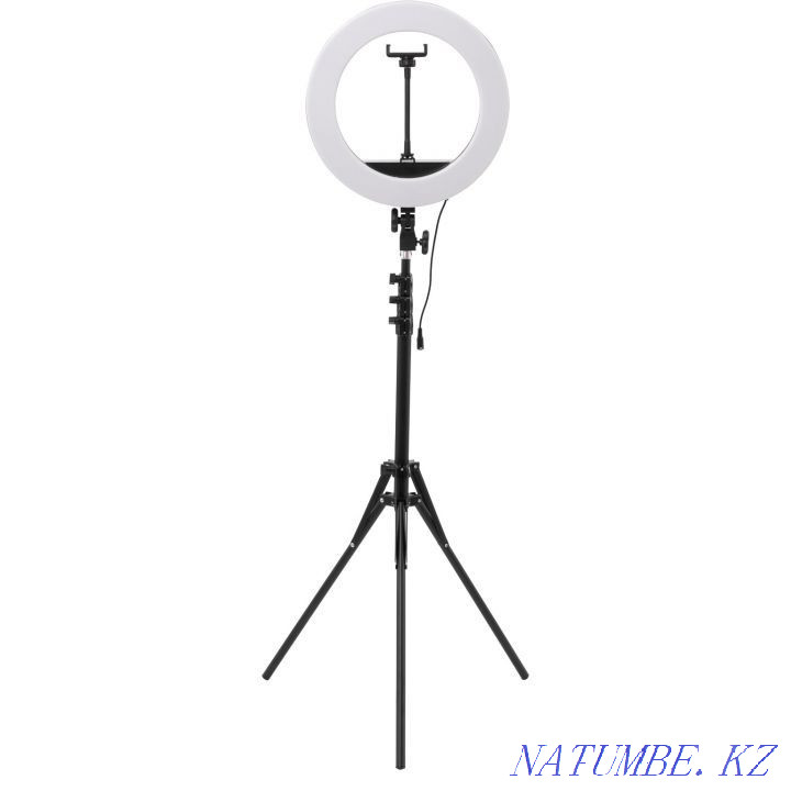 Ring lamp with tripod 15700 tg Almaty - photo 4