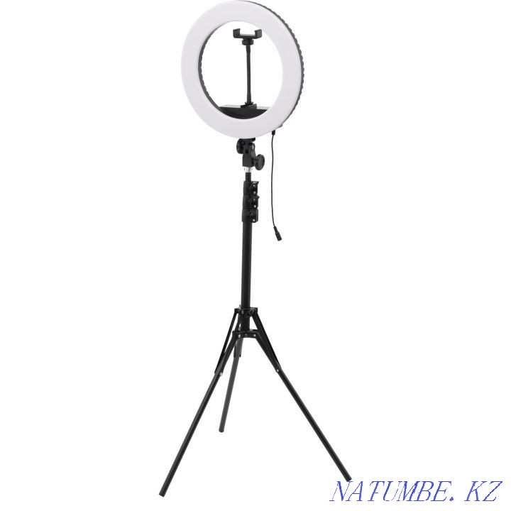 Ring lamp with tripod 15700 tg Almaty - photo 1