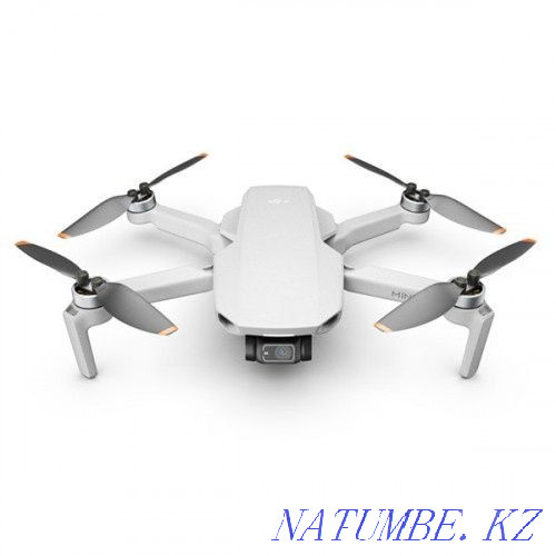 Quadcopter DJI Mini2 Urochishche Talgarbaytuma - photo 1