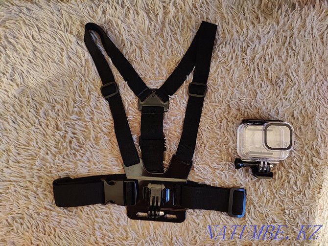 Chest Mount + GoPro Case Almaty - photo 1