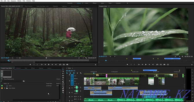 Adobe Premiere Pro 2019 Atyrau - photo 2