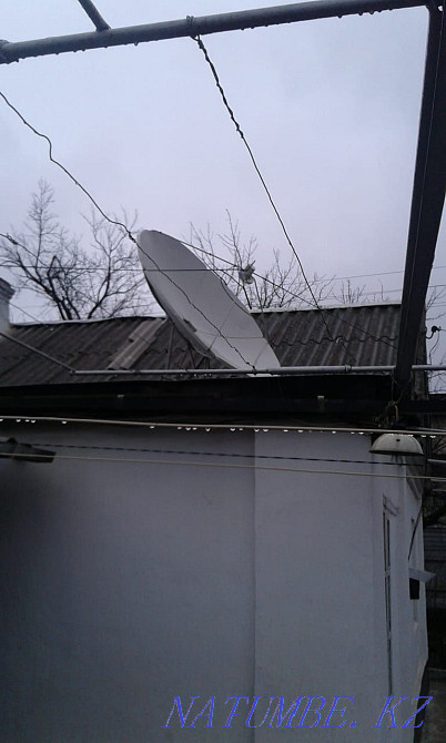 Headed plate  - photo 1