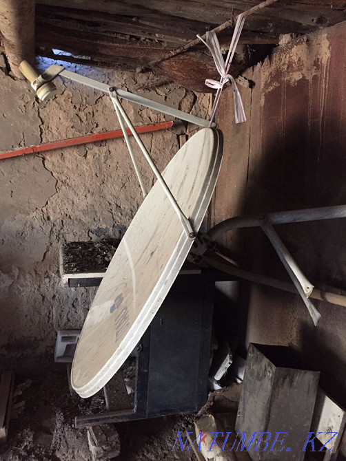Antenna, dish Arys - photo 1