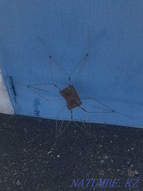 Antenna Satpaev - photo 2