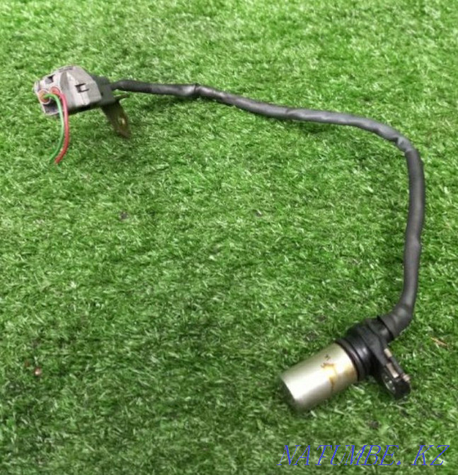 ipsum ipsum ipsun пикник шамдары  Алматы - изображение 4