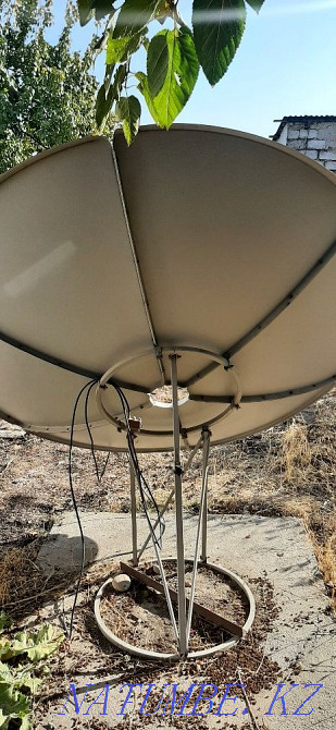 svec plate for sale  - photo 2