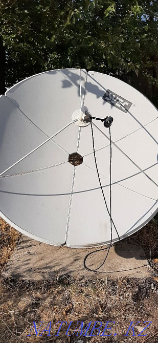 svec plate for sale  - photo 1