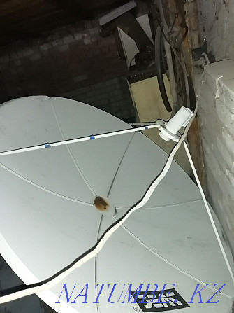 Лепестковая антенна с ресивером Семей - изображение 2