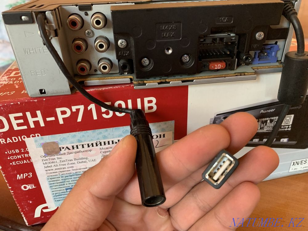 Pioneer legendary DOLPHIN Turkestan - photo 2