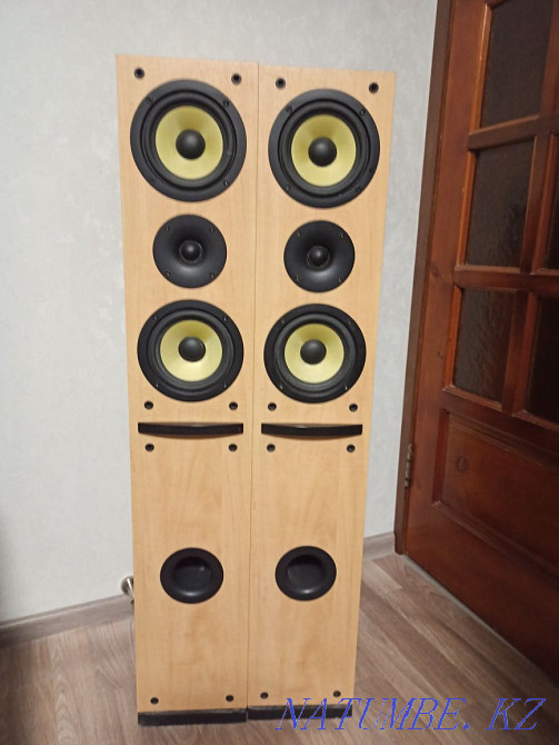 Acoustics Pioneer 100w Temirtau - photo 1