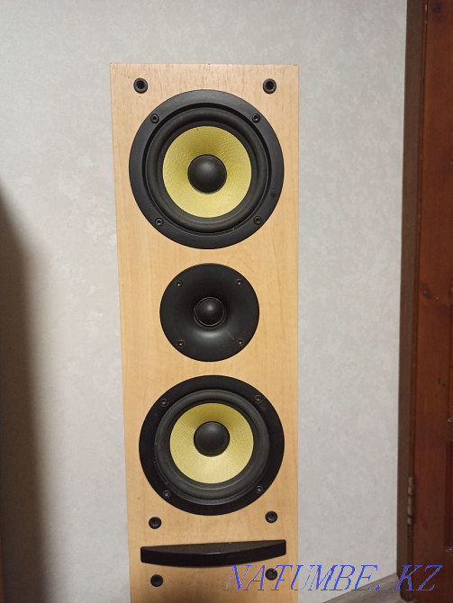 Acoustics Pioneer 100w Temirtau - photo 4