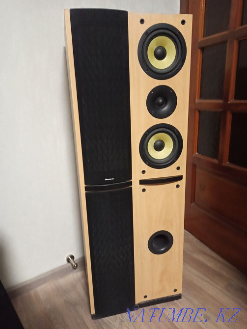 Acoustics Pioneer 100w Temirtau - photo 3