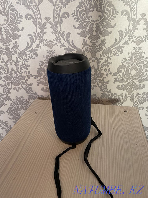 Speaker without wired Astana - photo 4