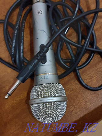 karaoke microphone for sale  - photo 6