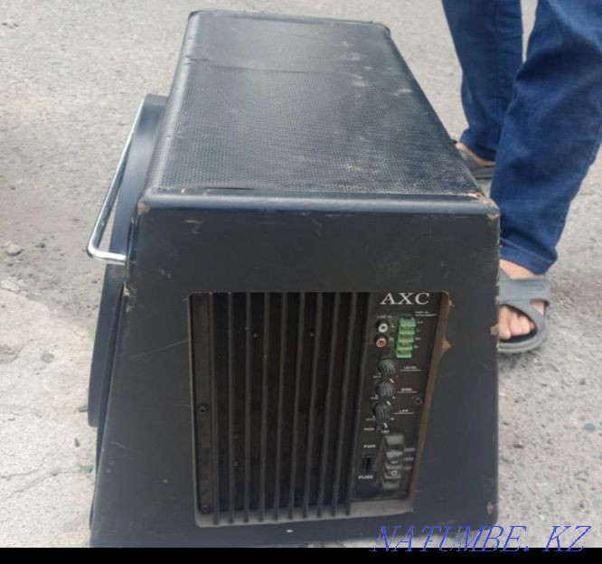 Сабвуфер в идеальном состоянии без нарикани не борохлит звучит чисто и Алгабас - изображение 1