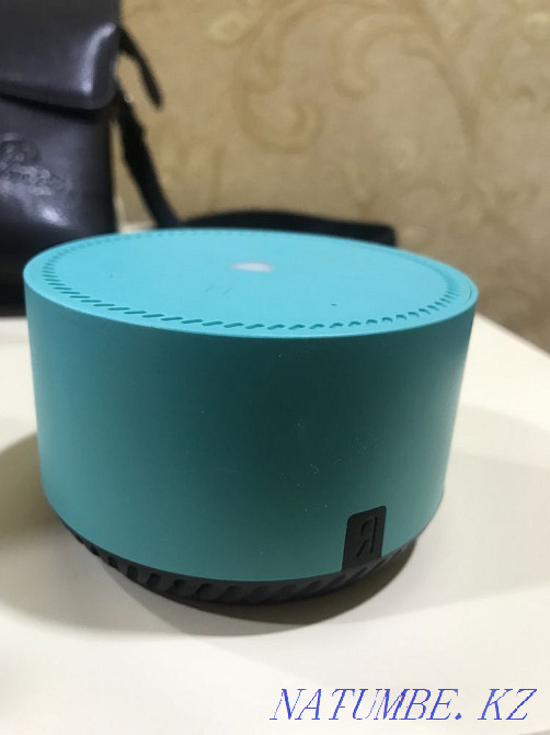 Колонка Яндекс. Динамик Сатпаев - изображение 2