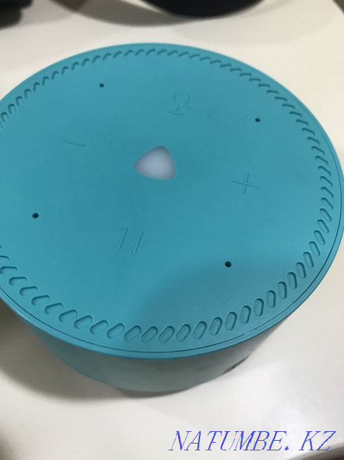 Колонка Яндекс. Динамик Сатпаев - изображение 3