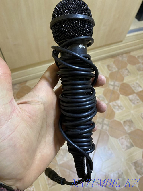 Karaoke + microphone + song magazine Astana - photo 3