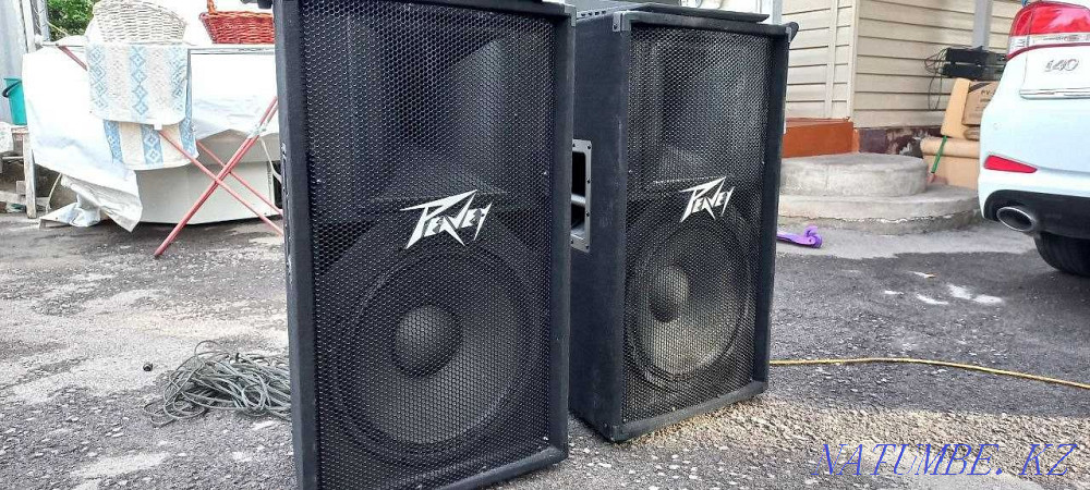 Пассивные колонки Peavey 115 (15 дюйм) Алматы - изображение 4
