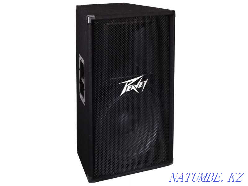 Пассивные колонки Peavey 115 (15 дюйм) Алматы - изображение 2