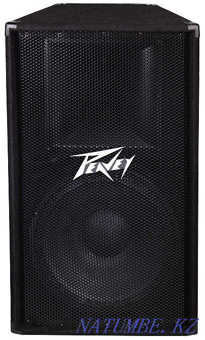 Пассивные колонки Peavey 115 (15 дюйм) Алматы - изображение 1
