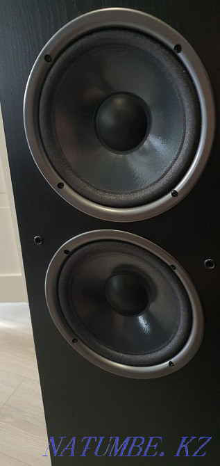 Speakers Infinity Delta 60 Astana - photo 4