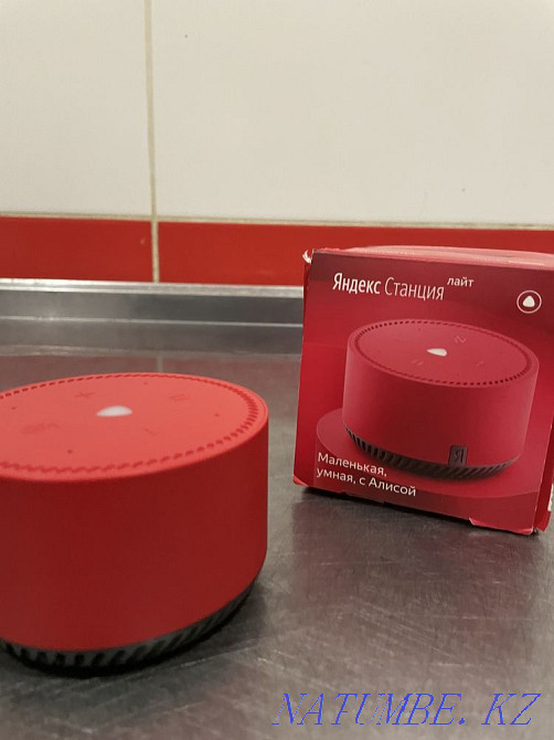 Yandex Alice Oral - photo 3