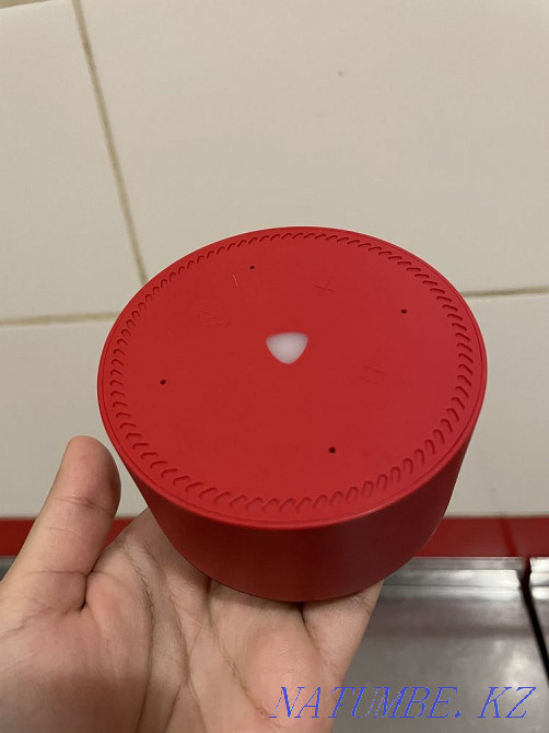 Yandex Alice Oral - photo 1