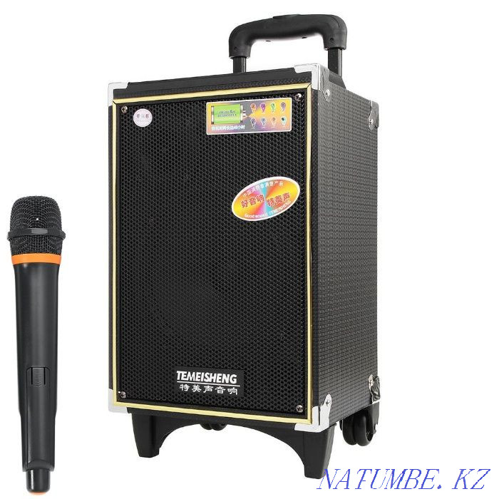 Karaoke speaker with bluetooth microphone Astana - photo 1