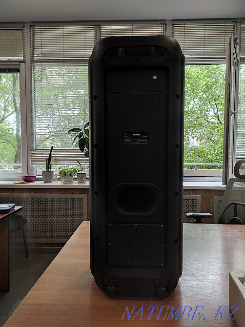 Acoustic column. Acoustic system. Music Center. Almaty - photo 8