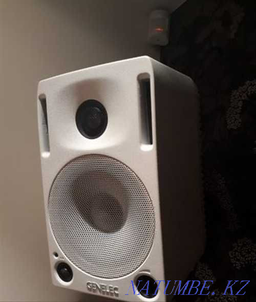 Genelec 1029A студийный монитор Алматы - изображение 1