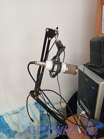 Студийный микрофон BM-800 Астана - изображение 3