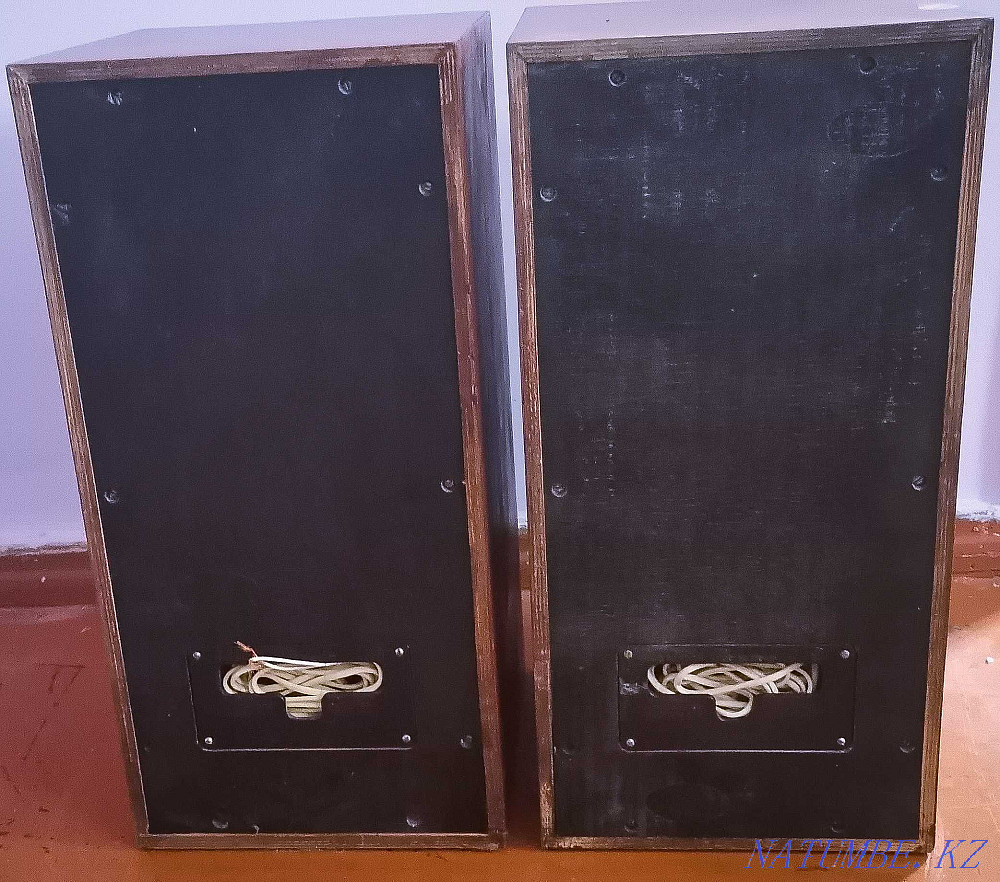 Колонки Radiotehnika S-50 B и колонки Вега 50 АС-104 Караганда - изображение 4