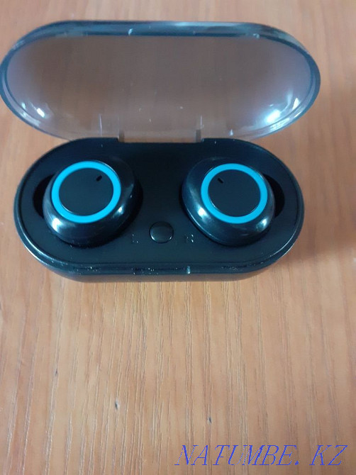 Сымды құлаққапсыз  отбасы  - изображение 1