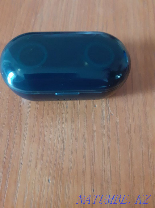 Сымды құлаққапсыз  отбасы  - изображение 3